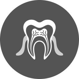 Root Canals